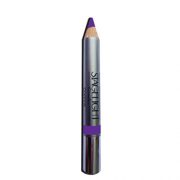 Purple Passion - Color Stick